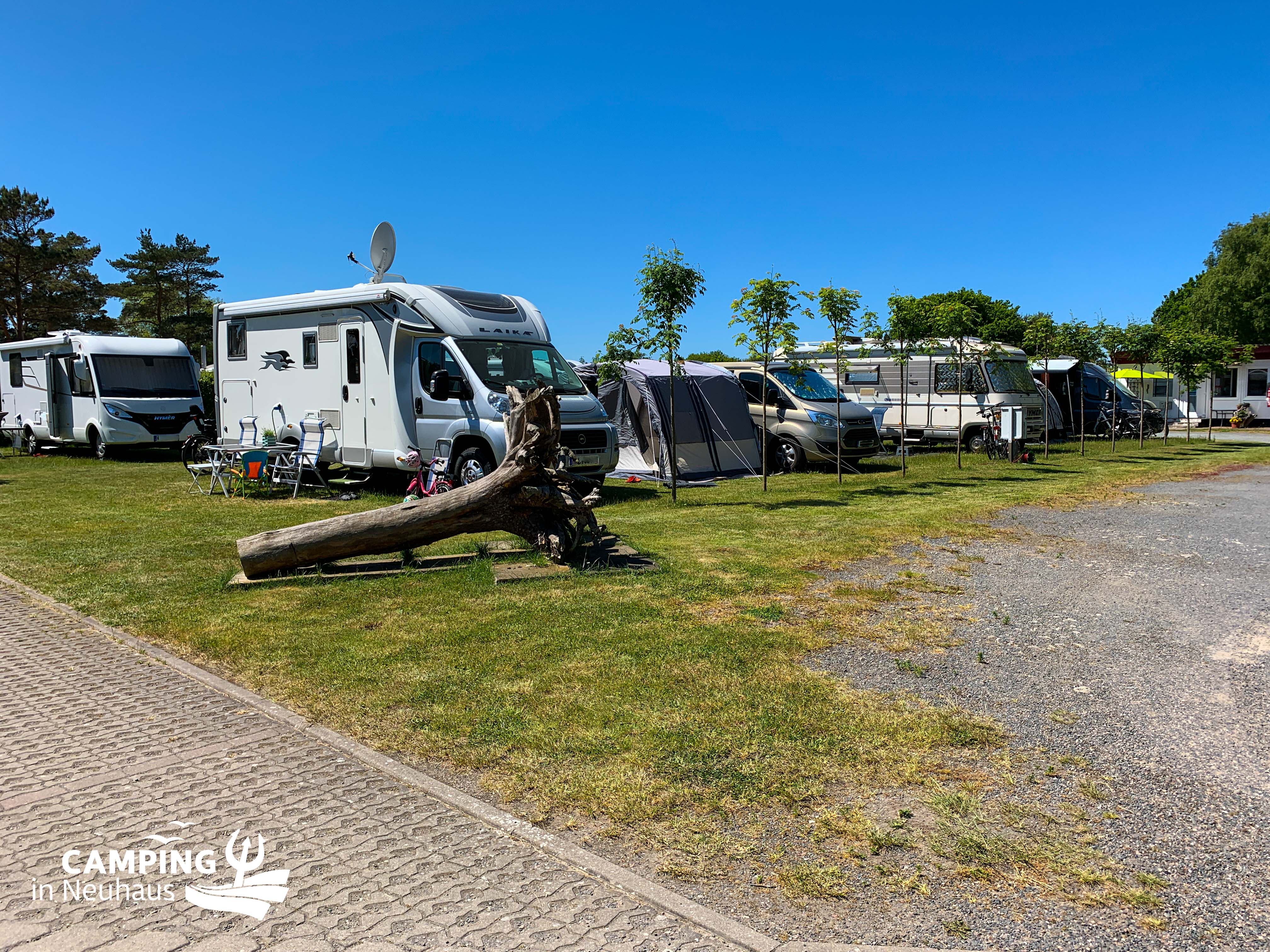 Die Seesternwiese auf Camping in Neuhaus