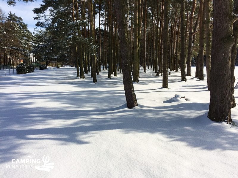 Zelterwald ganz winterlich