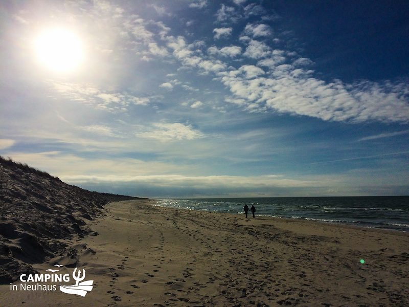 Frühling am Strand in Neuhaus