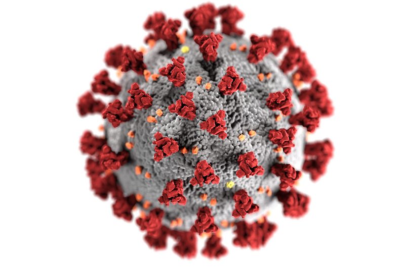 Illustration Corona-Virus
