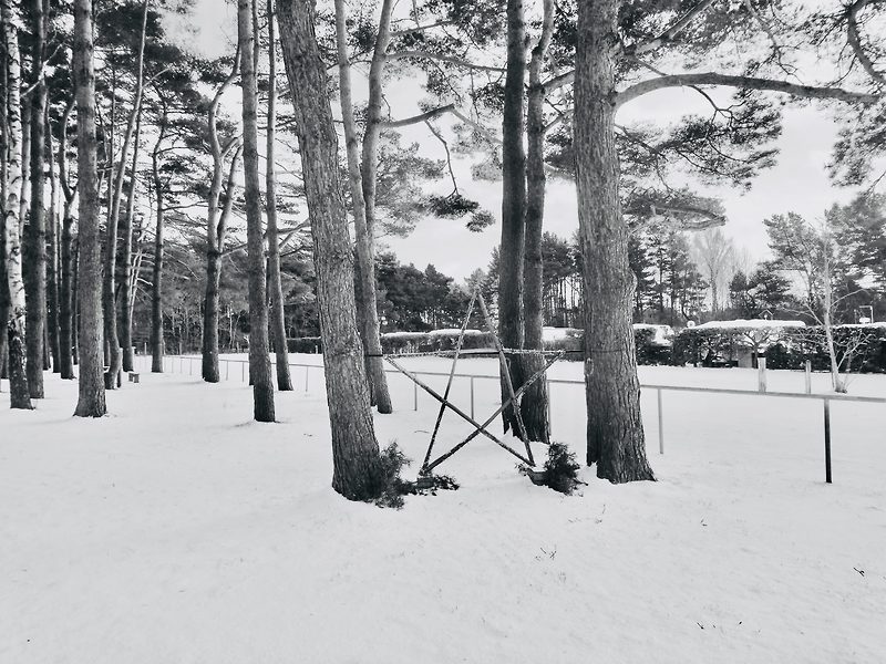 Verschneite Zelterwiese und Stern in Neuhaus