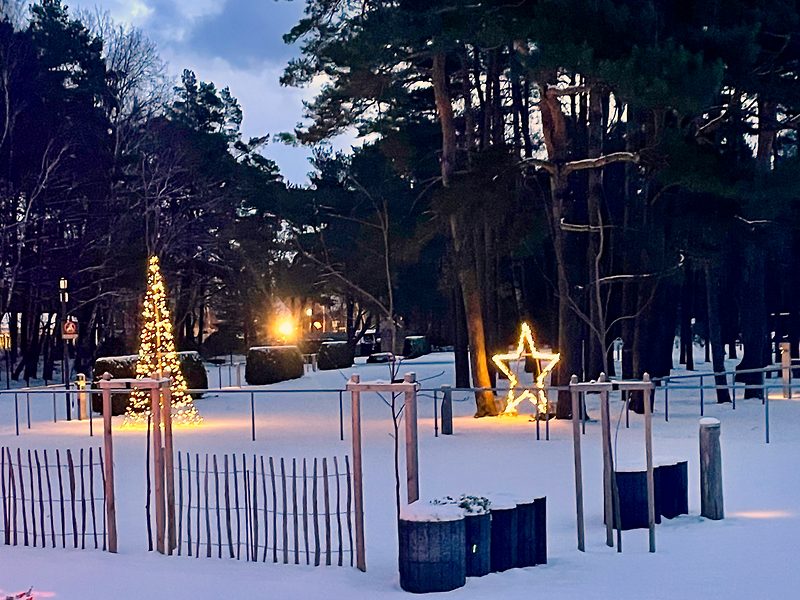 Weihnachtliche Stimmung in Camping in Neuhaus 2