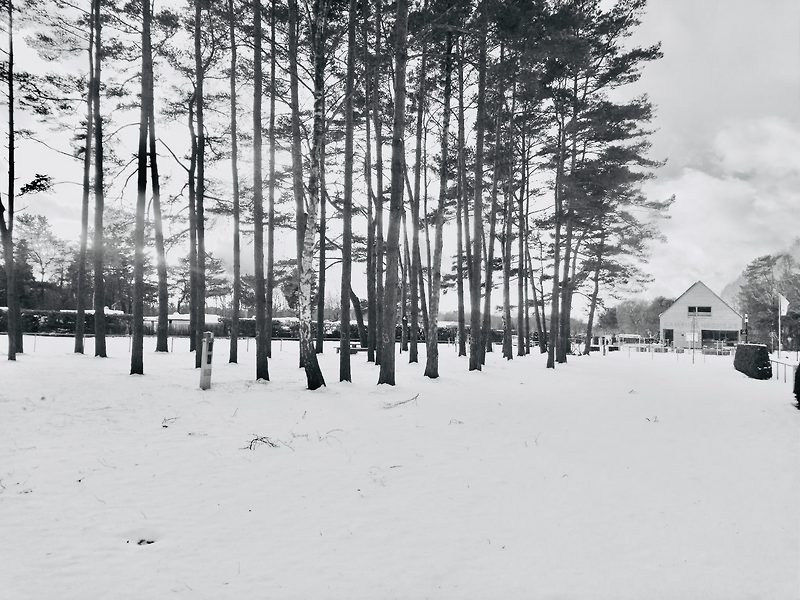 Verschneite Zelterwiese in Neuhaus