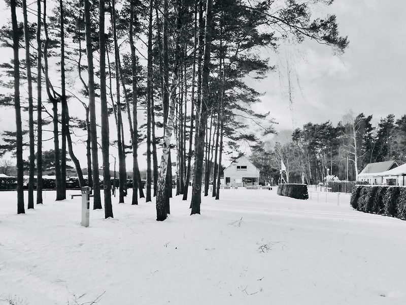 Verschneite Zelterwiese und Rezeption in Neuhaus