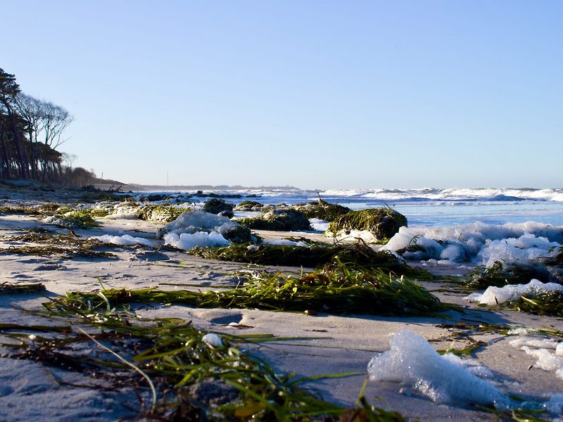 Herbstlicher Strand bei Dierhagen