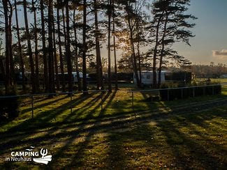 Zelterwiese und Wald im Gegenlicht